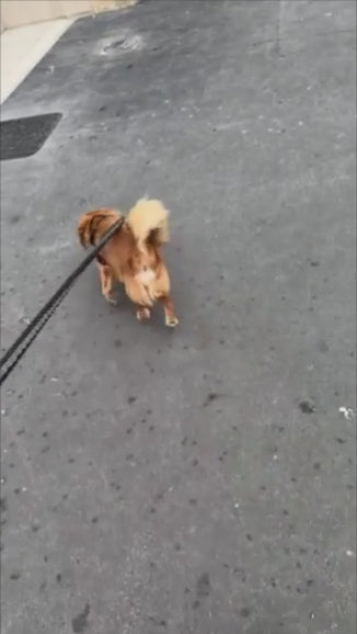 Customer video – Ruby T.