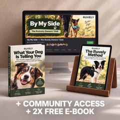 2 free e-books and By My Side Owners' Club access, included with the Ruvely harness