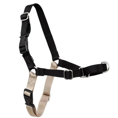 Standard dog harness