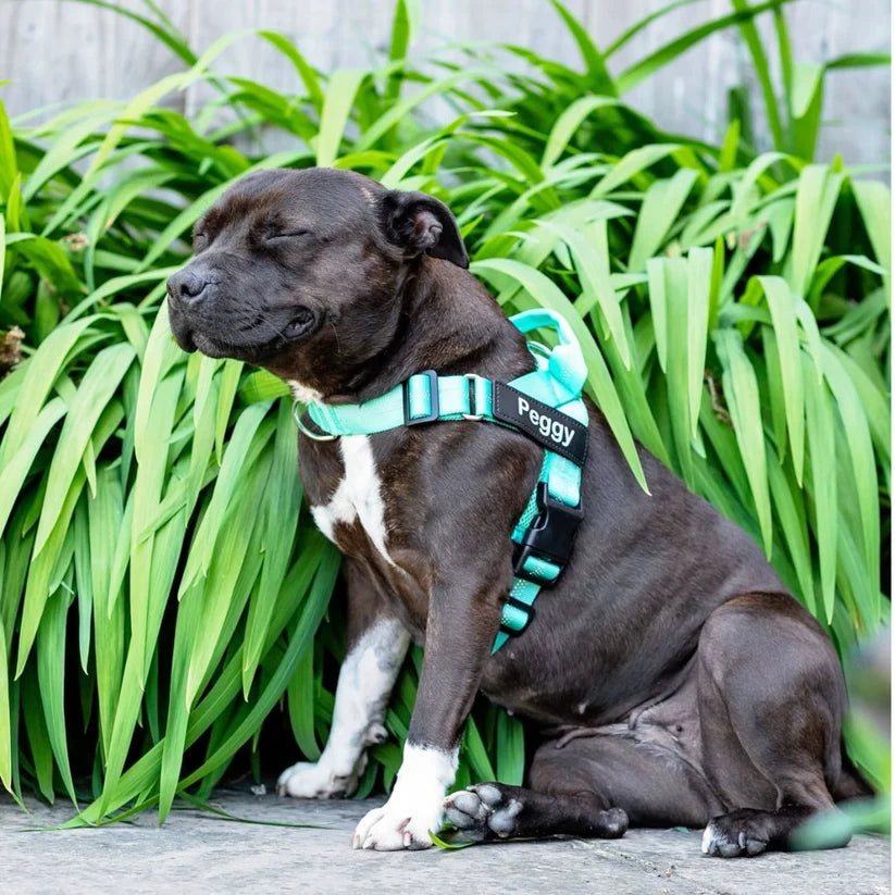Ruvely No-Pull Dog Harness – photo 2