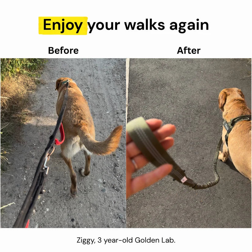 Before and after – enjoy your walks again, photo 11