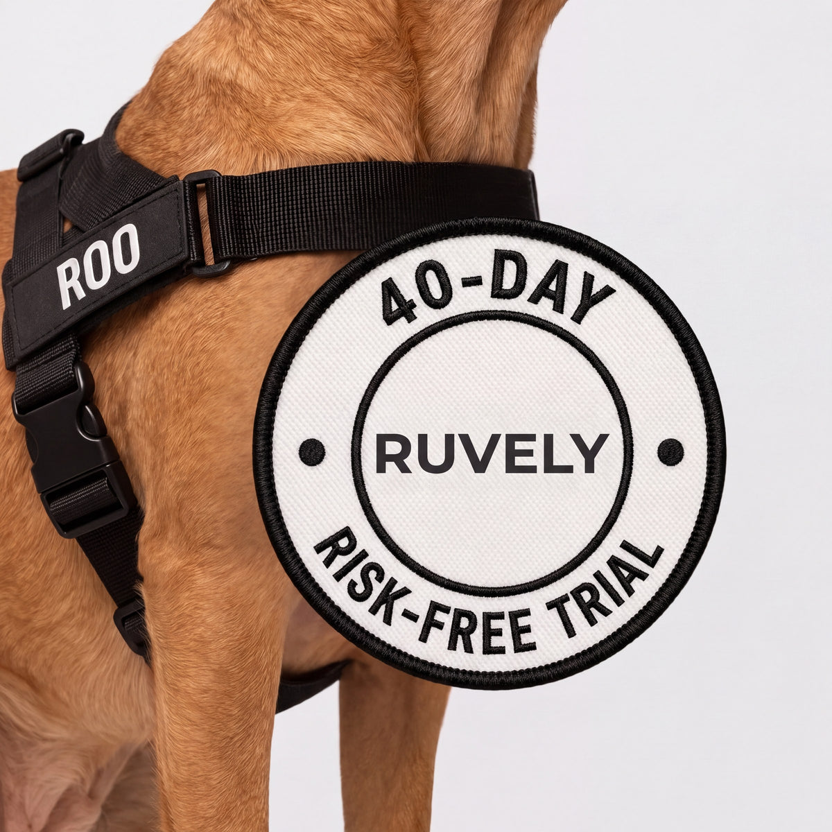 40-day Ruvely risk-free trial, photo 12
