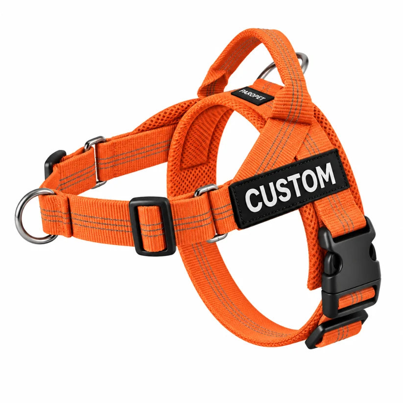 Ruvely No-Pull Dog Harness – Orange