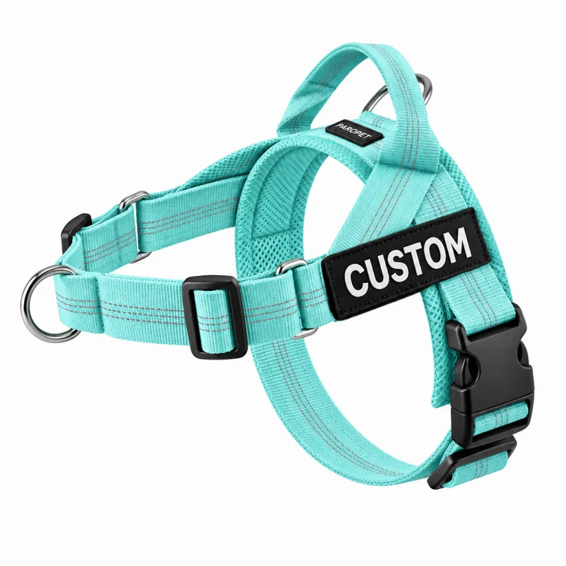 Ruvely No-Pull Dog Harness – Teal