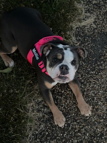 Ruvely customer photo 1