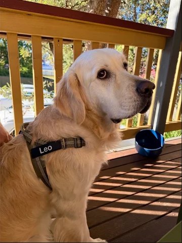 Ruvely customer photo 2