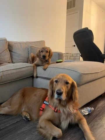Ruvely customer photo 8