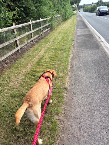 Ruvely customer photo 9